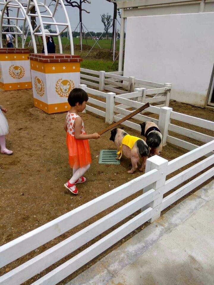 18����luck��(�й�)-�ٷ���վ