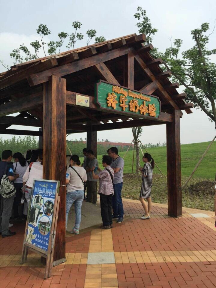 18����luck��(�й�)-�ٷ���վ