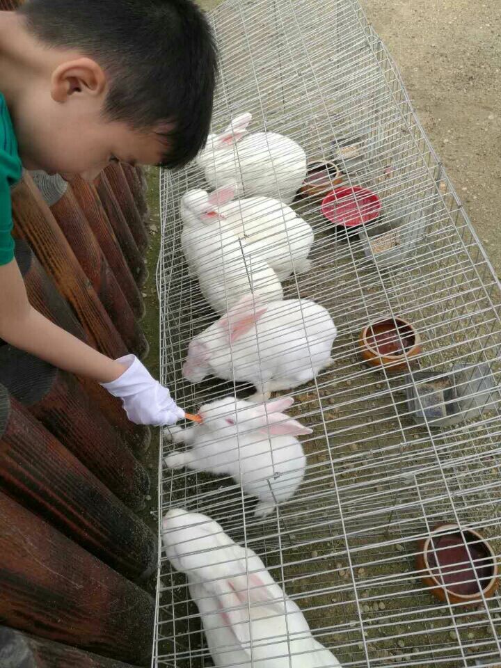 18����luck��(�й�)-�ٷ���վ