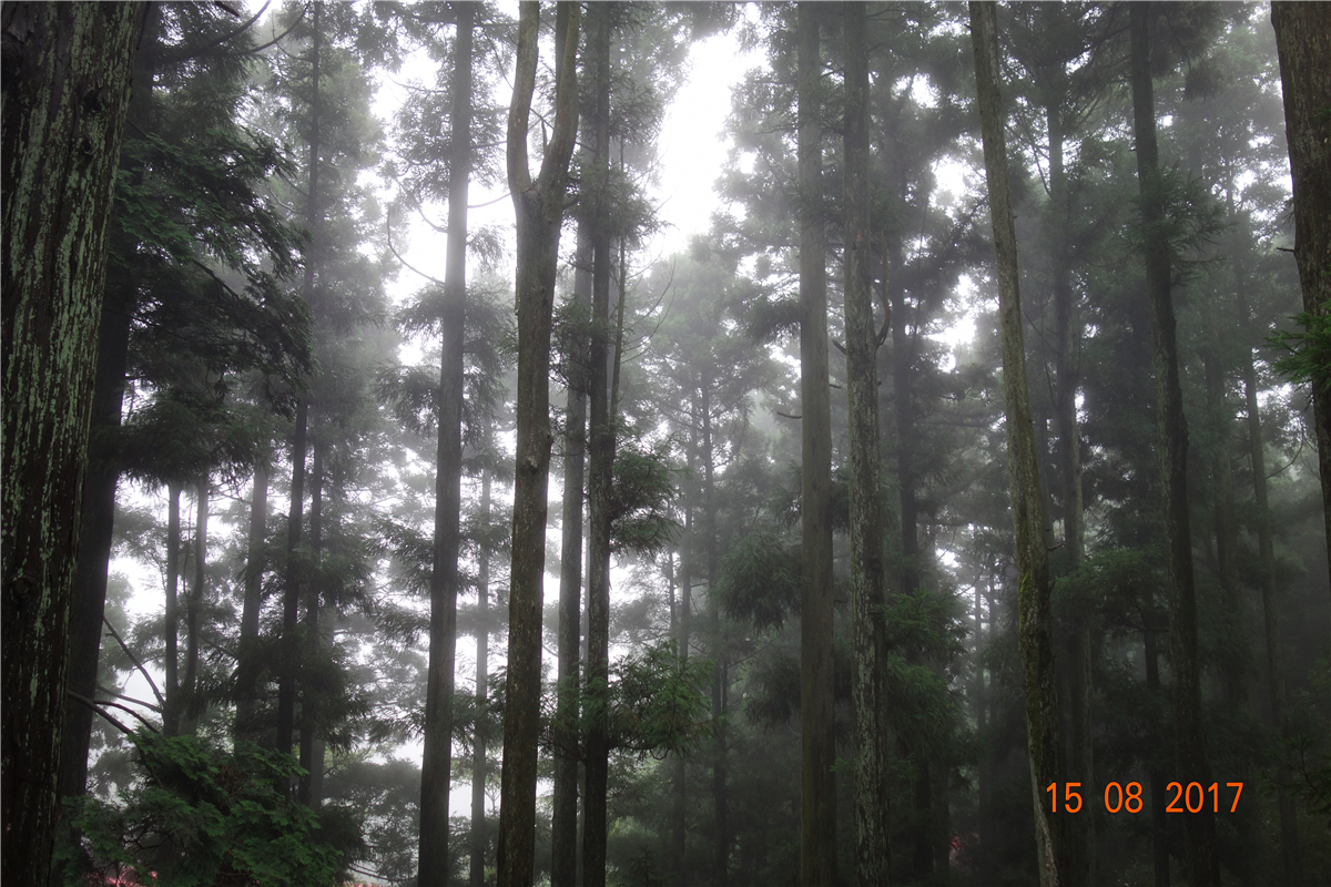 18ÐÂÀûluck¡¤(Öйú)-¹Ù·½ÍøÕ¾