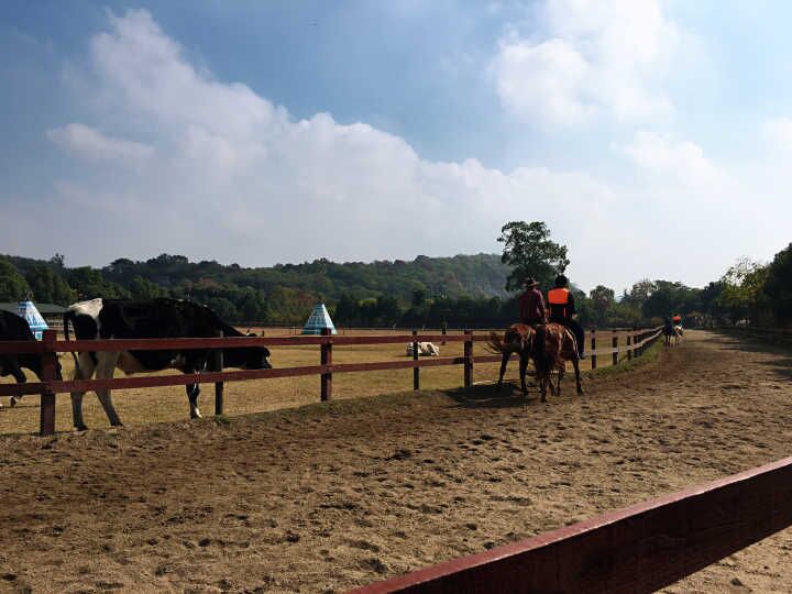 18����luck��(�й�)-�ٷ���վ