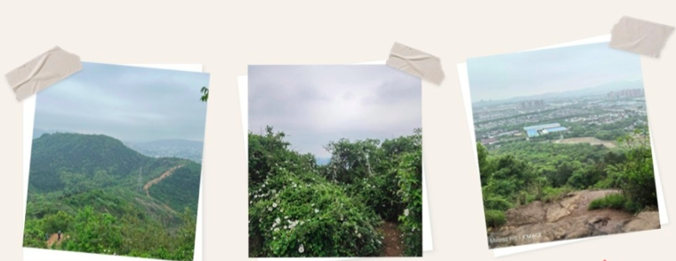 18����luck��(�й�)-�ٷ���վ